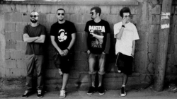 Grupi “Këpurdhat” nga Tetova kërkon votën tuaj (Video)