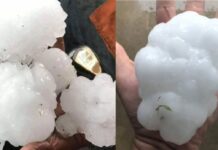 “Çmendet” moti në Australi, breshër sa një grusht, dëmtohen ndërtesat (VIDEO)