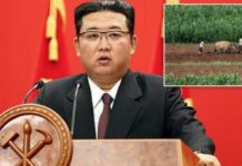 Kim Jong Un urdhëron koreano-veriorët të hanë më pak deri në vitin 2025