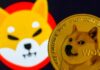 Çmimi i kriptovalutës Shiba Inu arriti rekord
