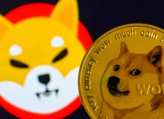 Çmimi i kriptovalutës Shiba Inu arriti rekord