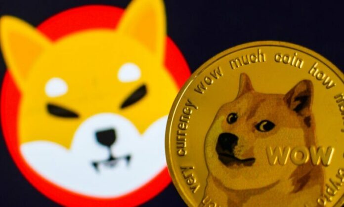shiba-kripto
