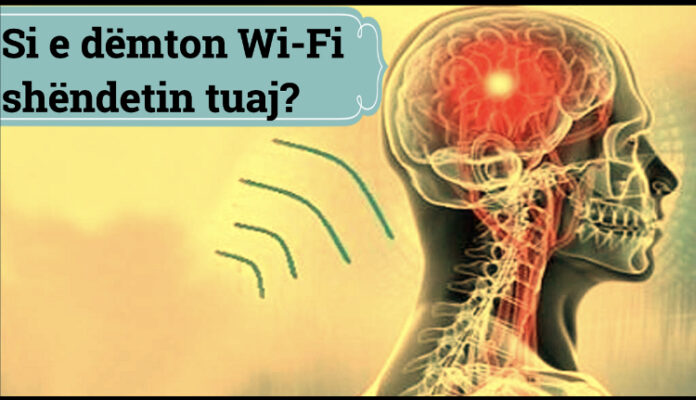 02C8C5B6-96CC-4A87-BF44-B11AA36EAE78