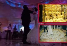 Milionat e dasmave, ja kush janë këngëtarët që fitojnë më shumë