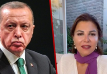 Gazetarja përfund në bu rg! Akuzohet për fyerje të presidentit Erdogan