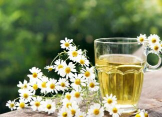 Kamomili është një qetësues i mirë për lëkurën