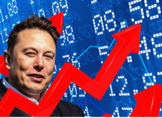 Elon Musk gjatë pandemisë rriti pasurinë për 1000%