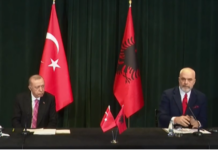 Erdogan: Na lëndon që FETO vepron ende në një vend mik si Shqipëria