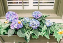 Mos e hidhni ujin në të cilin gatuani ushqim, është i dobishëm për bimët