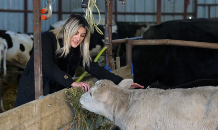 mjekja shqiptare-fermere