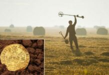 Shkon në fshat për të dëfryer fëmijët, bën zbulimin e shekullit që ia ndryshoi jetën