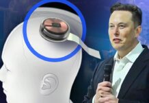 Së shpejti fillon testimi i vendosjes së çipave në trurin e njeriut nga kompania e Elon Musk