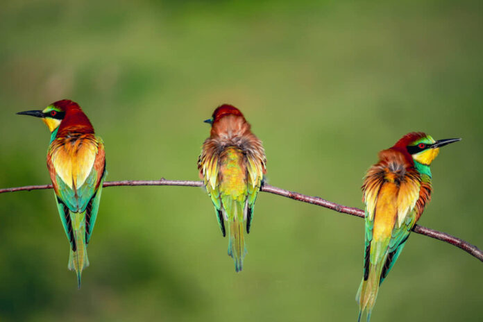 279972884_417395273539440_5790031219645982191_n