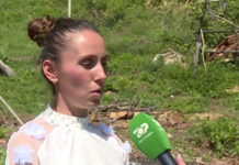 Flet nusja shqiptare që rrahu vjehrrin, vjehrrën, burrin dhe kunatin