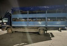 Incident në veri: Sulmohen me mjete piroteknike policët e Kosovës