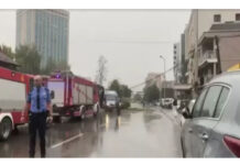 Era e fortë rrëzon lisin në Kosovë, humb jetën 30-vjeçari një tjetër plagoset