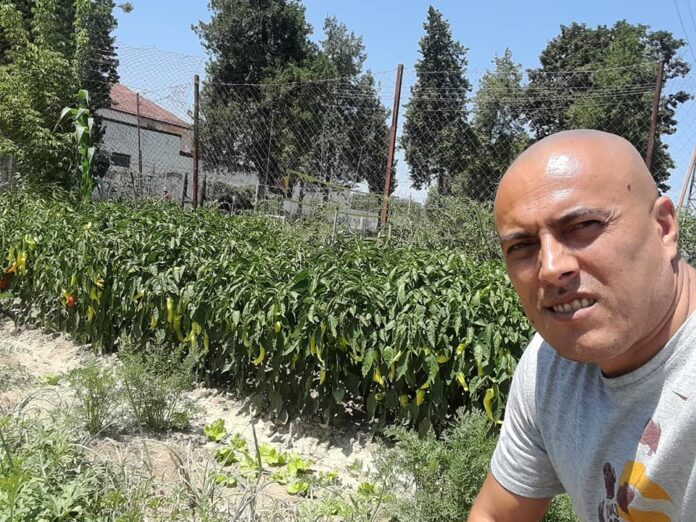 294464462_1405962289903047_7325082349647077126_n