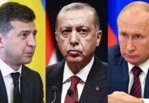 Eksportet e grurit/ Erdogan mban telefonata të veçanta me Putinin dhe Zelenskyn