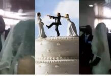 Një dashnore hyri në dasmë me fustan nusërie, nusja e vërtetë mbeti pa fjalë!