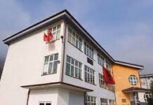 Pistoletë në gjimnazin 7 Marsi, Tetovë