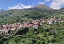 Fshatrat e malësisë së Tetovës po braktisen! (video)